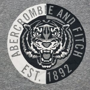 Abercrombie Kids SS Grey Tee Tiger Logo - Size 9/10
